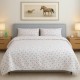 Bedsheet