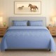 Bedsheet