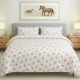 Bedsheet
